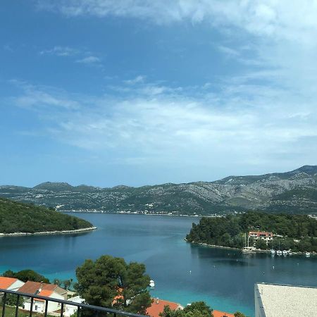 Green Hill Penthouse Apartment Zrnovo المظهر الخارجي الصورة